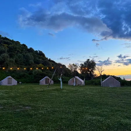 Parknight Tents * Piqeras